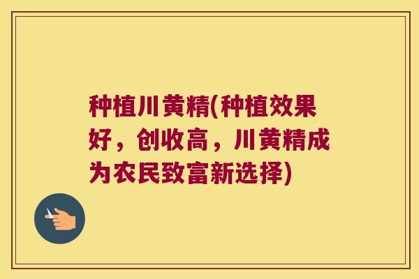 种植川黄精(种植效果好，创收高，川黄精成为农民致富新选择)