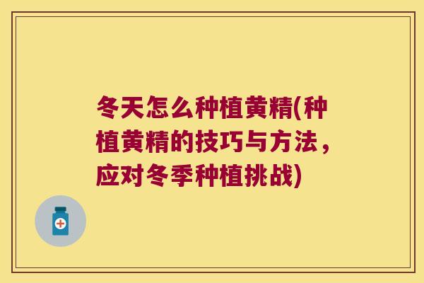 冬天怎么种植黄精(种植黄精的技巧与方法,应对冬季种植挑战) 冬天怎么种植黄精(种植黄精的技巧与方法,应对冬季种植挑战)