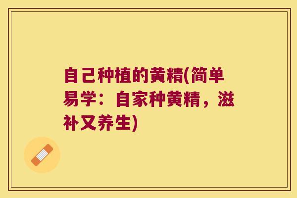 自己种植的黄精(简单易学：自家种黄精，滋补又养生)