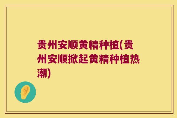贵州安顺黄精种植(贵州安顺掀起黄精种植热潮) 贵州安顺黄精种植(贵州安顺掀起黄精种植热潮)