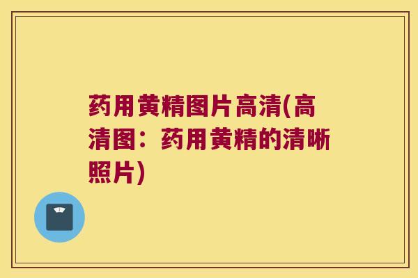 药用黄精图片高清(高清图:药用黄精的清晰照片) 药用黄精图片高清(高清图:药用黄精的清晰照片)