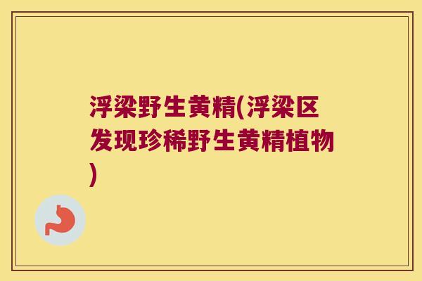 浮梁野生黄精(浮梁区发现珍稀野生黄精植物)
