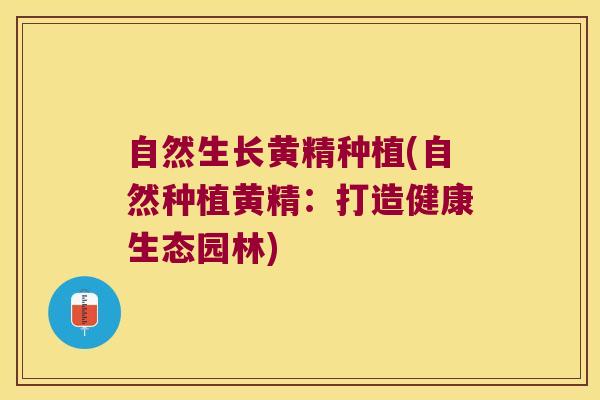 自然生长黄精种植(自然种植黄精：打造健康生态园林)