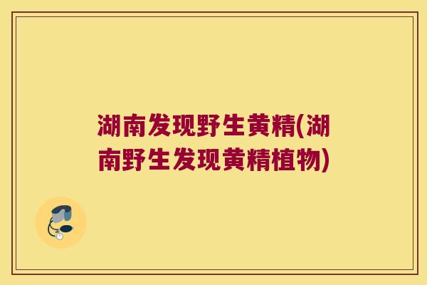 湖南发现野生黄精(湖南野生发现黄精植物) 湖南发现野生黄精(湖南野生发现黄精植物)