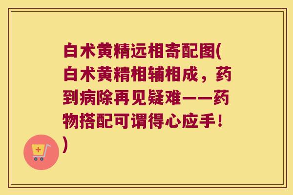 白术黄精远相寄配图(白术黄精相辅相成,药到除再见疑难——搭配可谓得心应手!) 白术黄精远相寄配图(白术黄精相辅相成,药到除再见疑难——搭配可谓得心应手!)