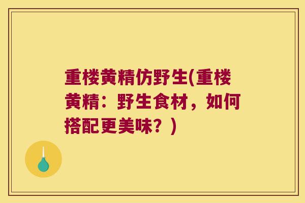 重楼黄精仿野生(重楼黄精：野生食材，如何搭配更美味？)