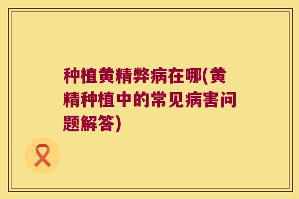 种植黄精弊在哪(黄精种植中的常见害问题解答)