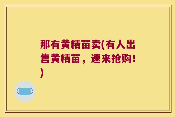 那有黄精苗卖(有人出售黄精苗，速来抢购！)