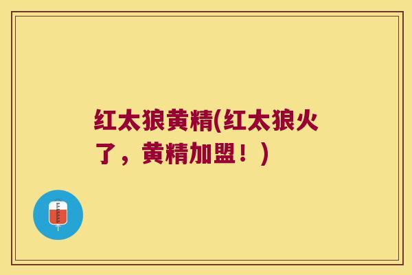 红太狼黄精(红太狼火了，黄精加盟！)