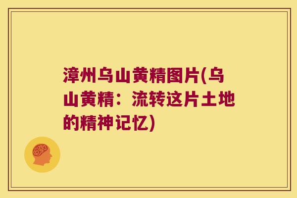 漳州乌山黄精图片(乌山黄精：流转这片土地的精神记忆)