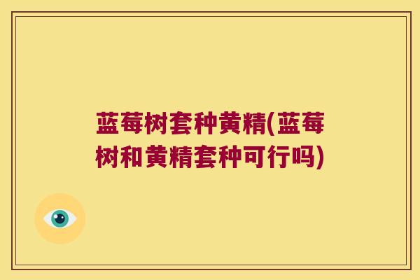 蓝莓树套种黄精(蓝莓树和黄精套种可行吗)