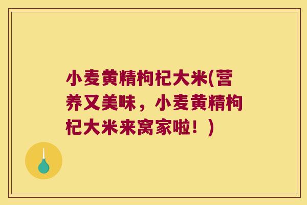 小麦黄精枸杞大米(营养又美味，小麦黄精枸杞大米来窝家啦！)