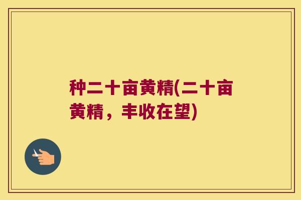 种二十亩黄精(二十亩黄精，丰收在望)