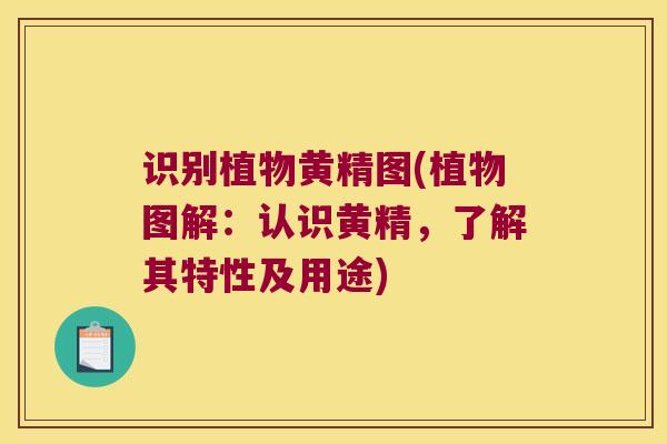 识别植物黄精图(植物图解：认识黄精，了解其特性及用途)