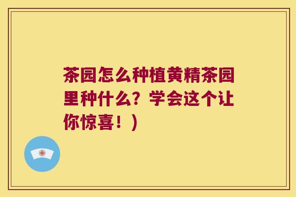 茶园怎么种植黄精茶园里种什么？学会这个让你惊喜！)