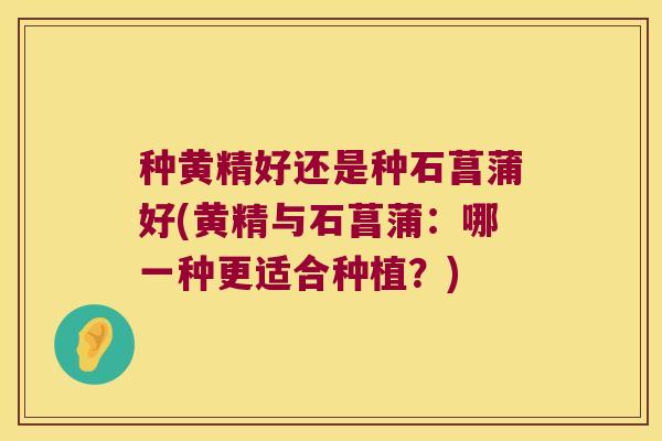 种黄精好还是种石菖蒲好(黄精与石菖蒲：哪一种更适合种植？)