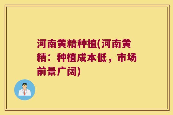 河南黄精种植(河南黄精：种植成本低，市场前景广阔)