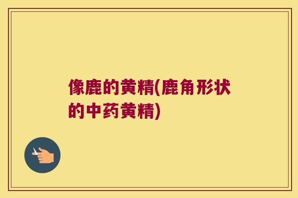 像鹿的黄精(鹿角形状的黄精) 像鹿的黄精(鹿角形状的黄精)