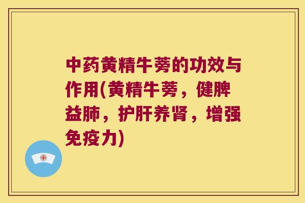 黄精牛蒡的功效与作用(黄精牛蒡，健脾益，养，增强力)