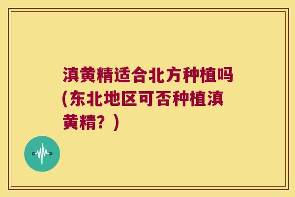 滇黄精适合北方种植吗(东北地区可否种植滇黄精?) 滇黄精适合北方种植吗(东北地区可否种植滇黄精?)