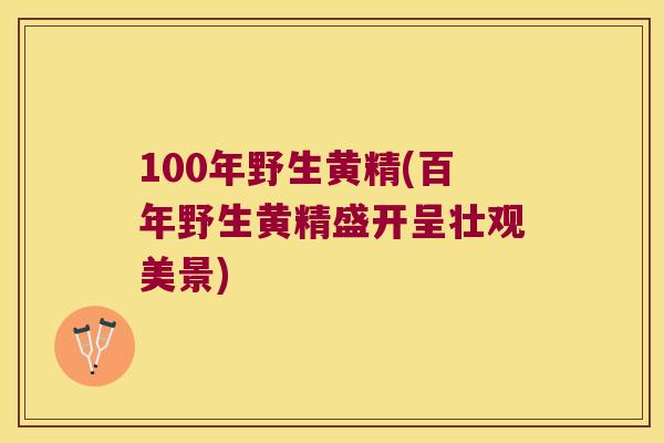 100年野生黄精(百年野生黄精盛开呈壮观美景) 100年野生黄精(百年野生黄精盛开呈壮观美景)