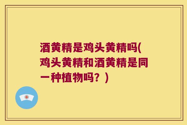 酒黄精是鸡头黄精吗(鸡头黄精和酒黄精是同一种植物吗?) 酒黄精是鸡头黄精吗(鸡头黄精和酒黄精是同一种植物吗?)