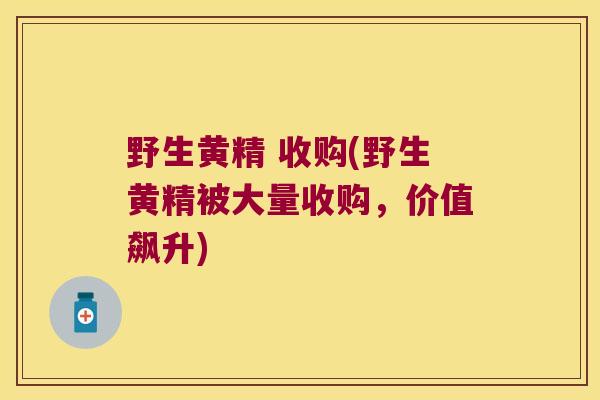 野生黄精 收购(野生黄精被大量收购,价值飙升) 野生黄精 收购(野生黄精被大量收购,价值飙升)