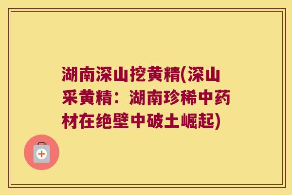 湖南深山挖黄精(深山采黄精：湖南珍稀材在绝壁中破土崛起)