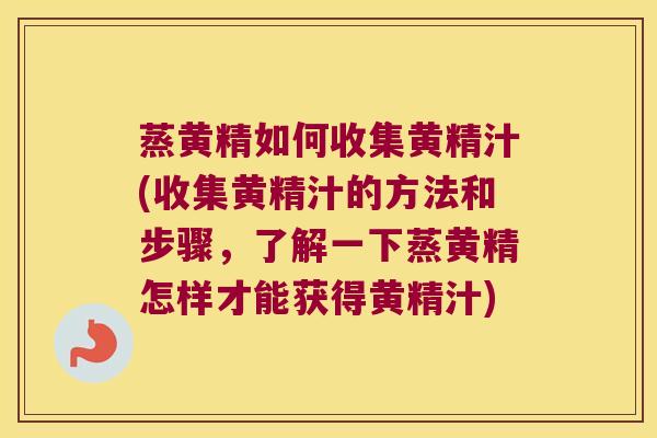 蒸黄精如何收集黄精汁(收集黄精汁的方法和步骤,了解一下蒸黄精怎样才能获得黄精汁) 蒸黄精如何收集黄精汁(收集黄精汁的方法和步骤,了解一下蒸黄精怎样才能获得黄精汁)
