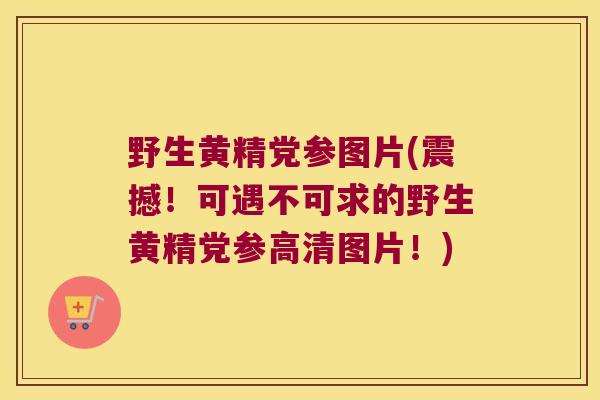 野生黄精党参图片(震撼！可遇不可求的野生黄精党参高清图片！)