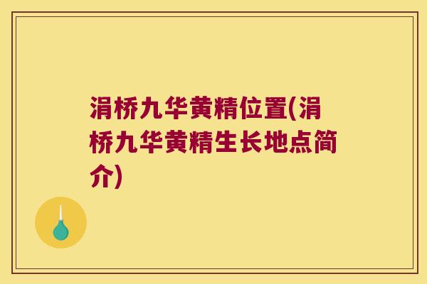 涓桥九华黄精位置(涓桥九华黄精生长地点简介) 涓桥九华黄精位置(涓桥九华黄精生长地点简介)