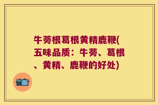 牛蒡根葛根黄精鹿鞭(五味品质:牛蒡、葛根、黄精、鹿鞭的好处) 牛蒡根葛根黄精鹿鞭(五味品质:牛蒡、葛根、黄精、鹿鞭的好处)