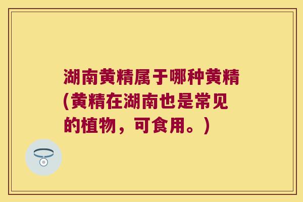 湖南黄精属于哪种黄精(黄精在湖南也是常见的植物,可食用。) 湖南黄精属于哪种黄精(黄精在湖南也是常见的植物,可食用。)