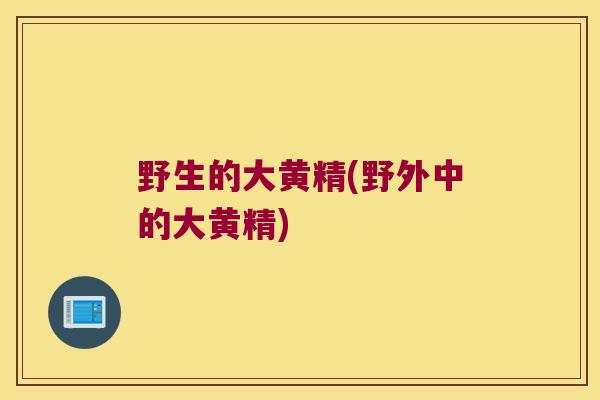 野生的大黄精(野外中的大黄精)