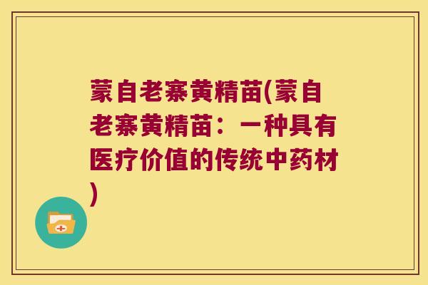 蒙自老寨黄精苗(蒙自老寨黄精苗:一种具有医疗价值的传统材) 蒙自老寨黄精苗(蒙自老寨黄精苗:一种具有医疗价值的传统材)