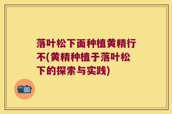 落叶松下面种植黄精行不(黄精种植于落叶松下的探索与实践) 落叶松下面种植黄精行不(黄精种植于落叶松下的探索与实践)
