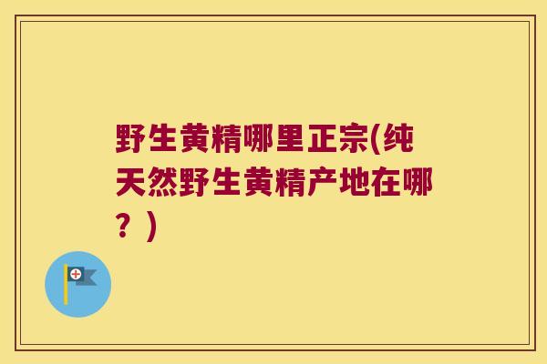 野生黄精哪里正宗(纯天然野生黄精产地在哪？)