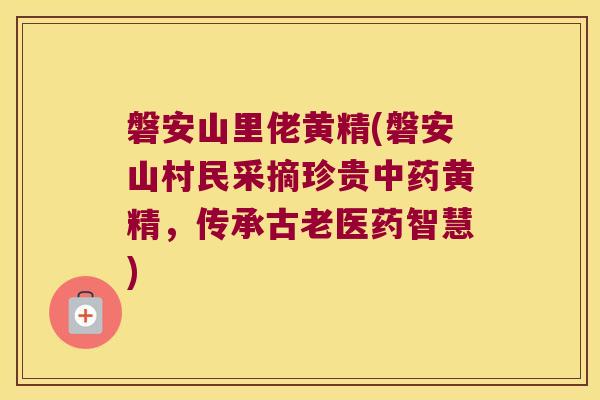 磐安山里佬黄精(磐安山村民采摘珍贵黄精，传承古老医药智慧)