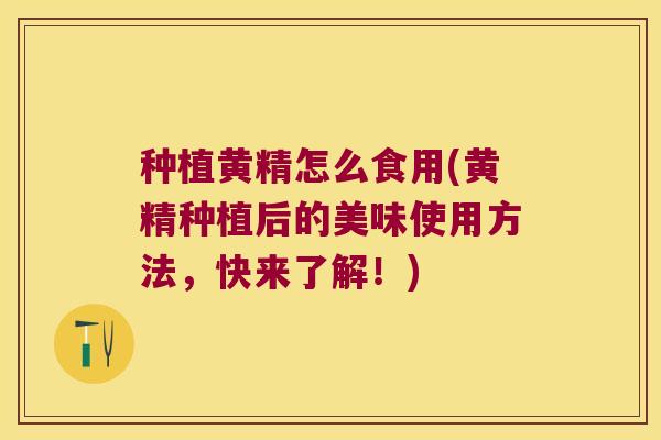 种植黄精怎么食用(黄精种植后的美味使用方法，快来了解！)