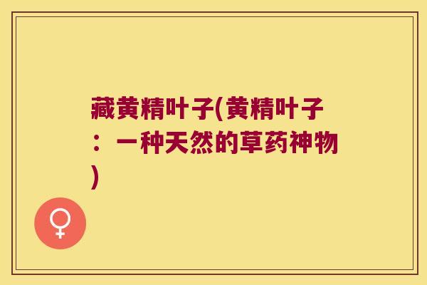 藏黄精叶子(黄精叶子：一种天然的草药神物)