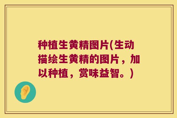 种植生黄精图片(生动描绘生黄精的图片，加以种植，赏味益智。)
