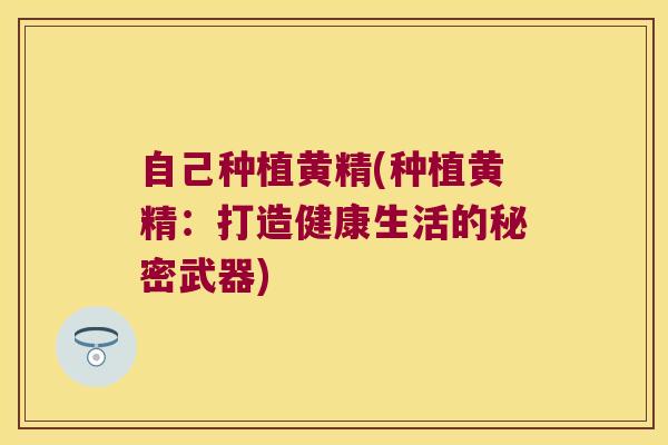自己种植黄精(种植黄精:打造健康生活的秘密武器) 自己种植黄精(种植黄精:打造健康生活的秘密武器)