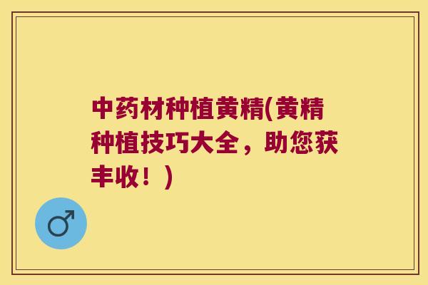 材种植黄精(黄精种植技巧大全，助您获丰收！)