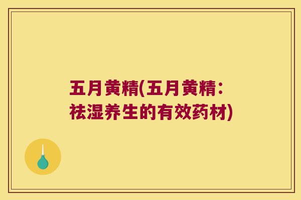 五月黄精(五月黄精：祛湿养生的有效药材)
