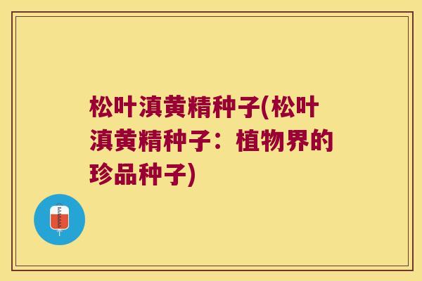 松叶滇黄精种子(松叶滇黄精种子：植物界的珍品种子)