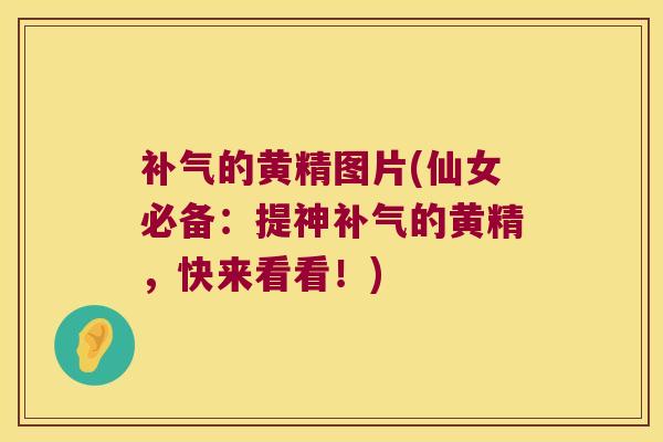 的黄精图片(仙女必备：提神的黄精，快来看看！)