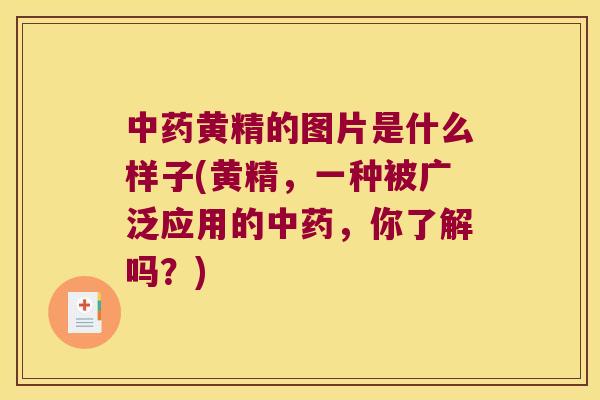 黄精的图片是什么样子(黄精,一种被广泛应用的,你了解吗?) 黄精的图片是什么样子(黄精,一种被广泛应用的,你了解吗?)