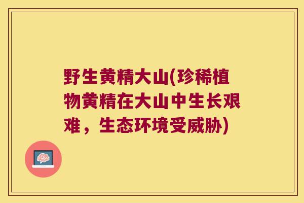 野生黄精大山(珍稀植物黄精在大山中生长艰难,生态环境受威胁) 野生黄精大山(珍稀植物黄精在大山中生长艰难,生态环境受威胁)