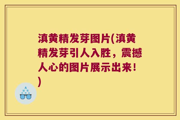 滇黄精发芽图片(滇黄精发芽引人入胜,震撼人心的图片展示出来!) 滇黄精发芽图片(滇黄精发芽引人入胜,震撼人心的图片展示出来!)