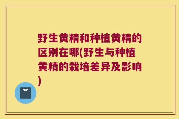 野生黄精和种植黄精的区别在哪(野生与种植黄精的栽培差异及影响)